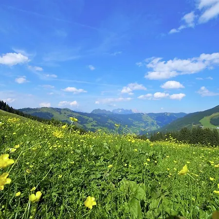 Bichl Saalbach-Hinterglemm
